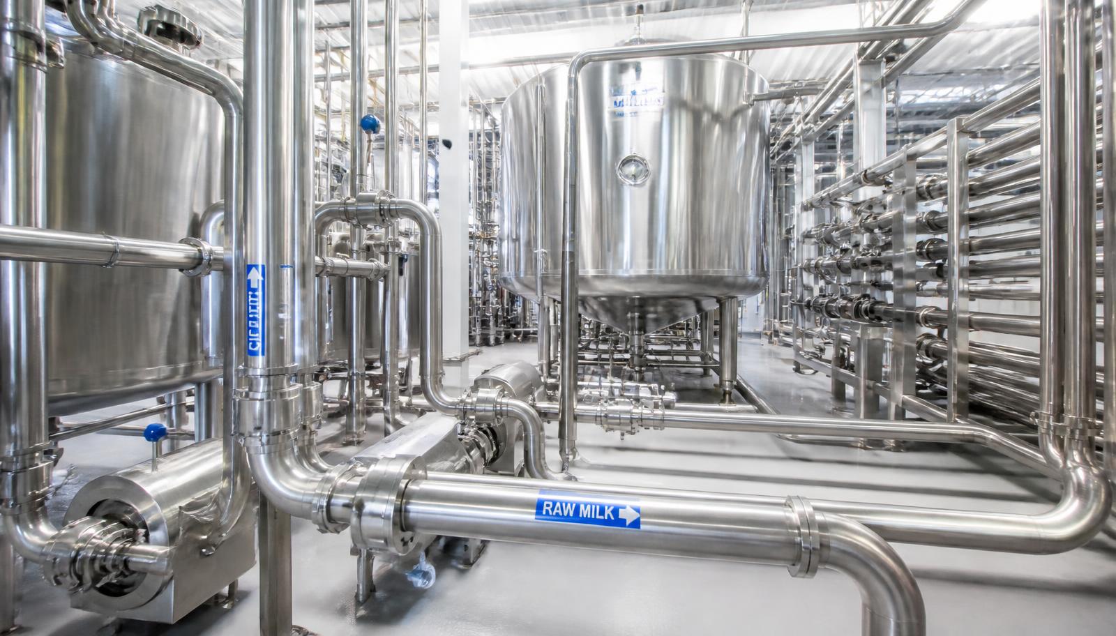 Stainless steel process piping and tanks in a dairy processing plant